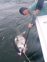 Oak Island NC monster bluefin tuna
